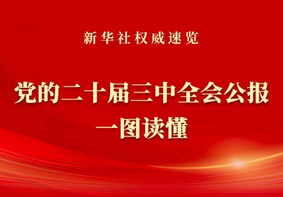 一图读懂党的二十届三中全会公报